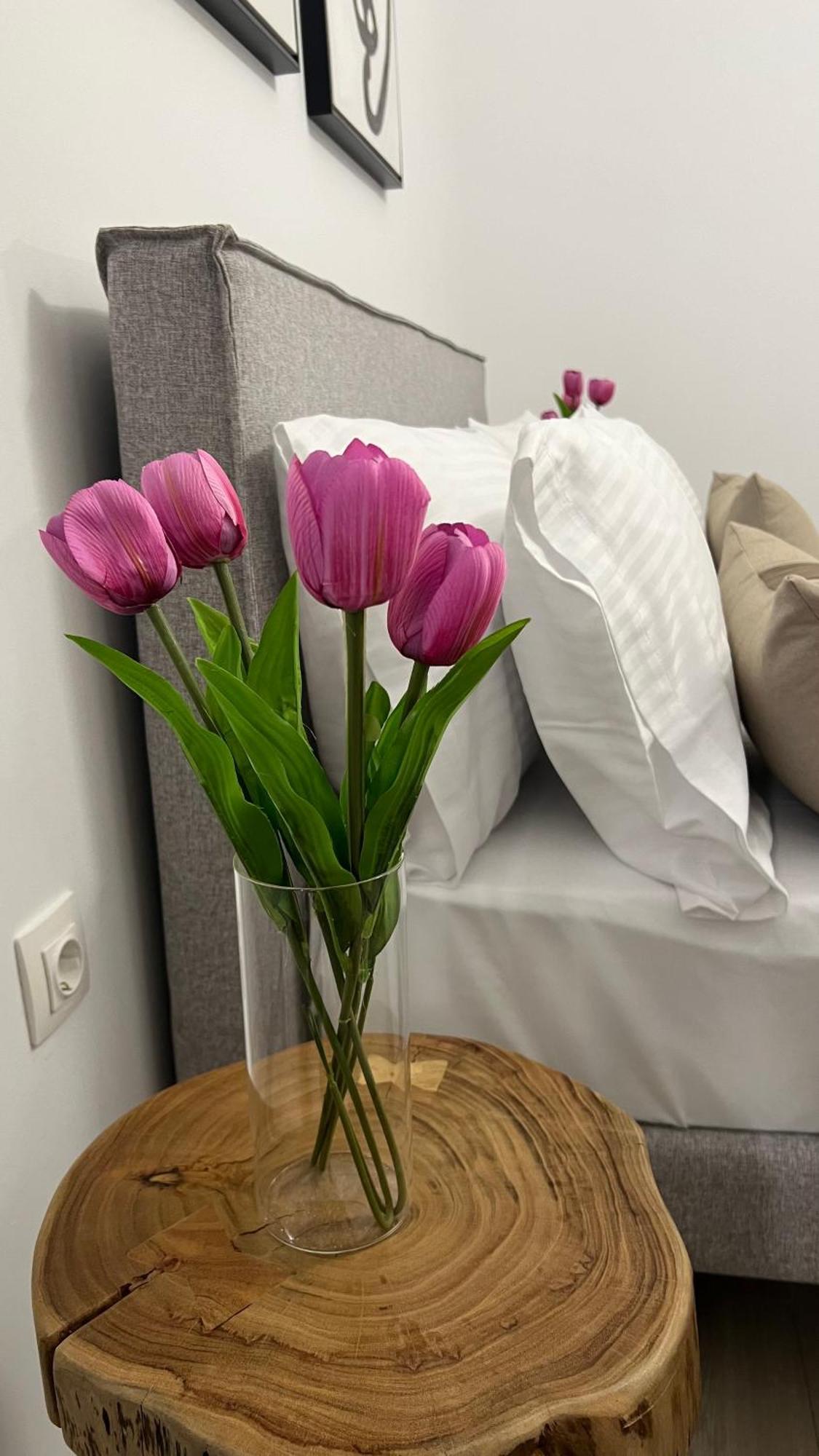 Sias Apartment 亚历山德鲁波利斯 外观 照片